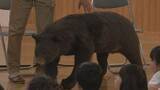 「外国人観光客がクマに襲われて負傷… 地元の学校でクマの勉強会 ｢自分の身を自分で守れるような人に｣ 岐阜･白川村」の画像4