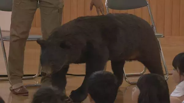 「外国人観光客がクマに襲われて負傷… 地元の学校でクマの勉強会 ｢自分の身を自分で守れるような人に｣ 岐阜･白川村」の画像