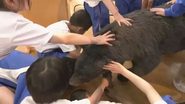「外国人観光客がクマに襲われて負傷… 地元の学校でクマの勉強会 ｢自分の身を自分で守れるような人に｣ 岐阜･白川村」の画像
