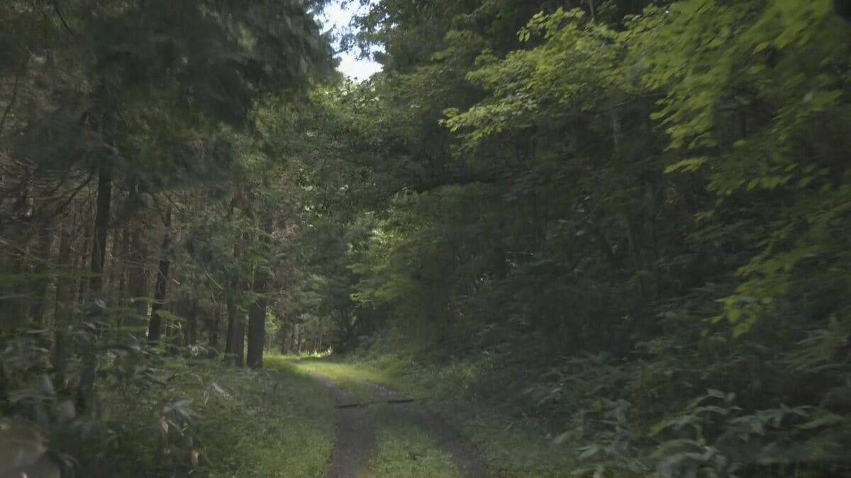 またランニング中に… 岐阜でクマ被害 70代男性が右頬をひっかかれ軽いけが 体長50～60センチの子グマか