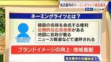 「｢ネーミングライツ｣ どんな施設でも“愛称”はつけられる？契約するための条件は？名古屋市で契約施設が過去最多」の画像2