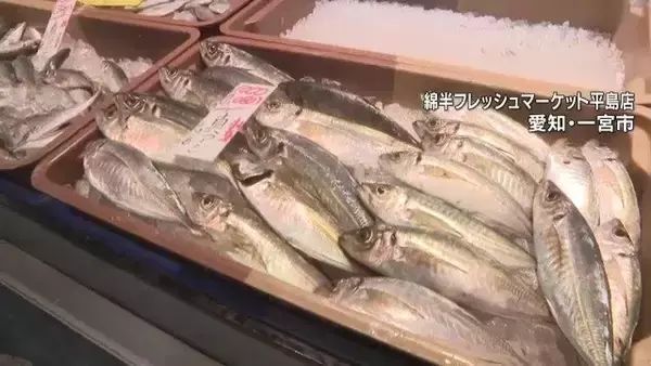 中東情勢で塩サバ大幅値上げ ｢2切れ862円｣に 航空便の“ルート変更”でノルウェー産に打撃