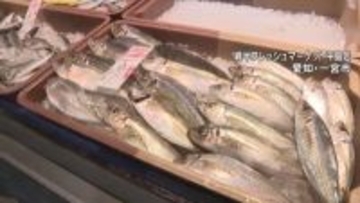 中東情勢で塩サバ大幅値上げ ｢2切れ862円｣に 航空便の“ルート変更”でノルウェー産に打撃