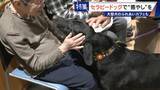 「人を癒やす“セラピードッグ” 医学的にも研究される｢犬の力｣ 訓練所には大型犬のふれあいカフェも」の画像1