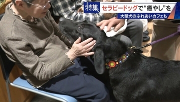 人を癒やす“セラピードッグ” 医学的にも研究される｢犬の力｣ 訓練所には大型犬のふれあいカフェも