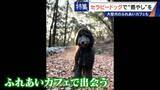 「人を癒やす“セラピードッグ” 医学的にも研究される｢犬の力｣ 訓練所には大型犬のふれあいカフェも」の画像10