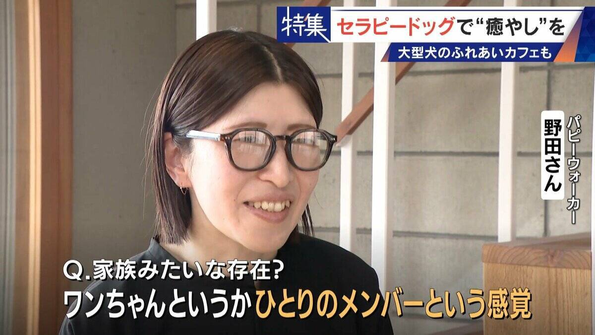 人を癒やす“セラピードッグ” 医学的にも研究される｢犬の力｣ 訓練所には大型犬のふれあいカフェも