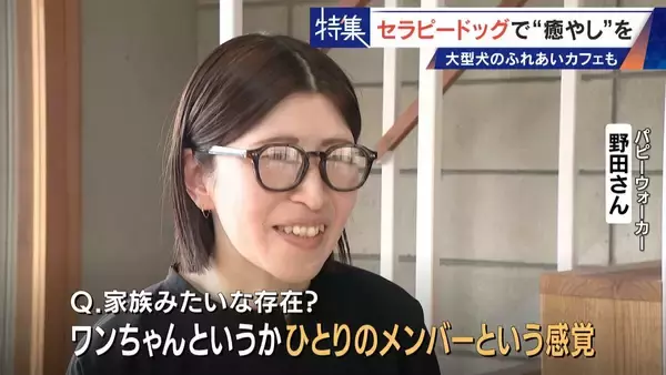 「人を癒やす“セラピードッグ” 医学的にも研究される｢犬の力｣ 訓練所には大型犬のふれあいカフェも」の画像