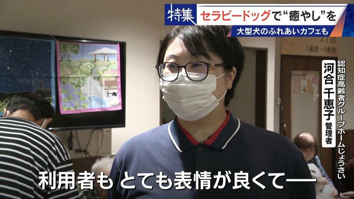 人を癒やす“セラピードッグ” 医学的にも研究される｢犬の力｣ 訓練所には大型犬のふれあいカフェも