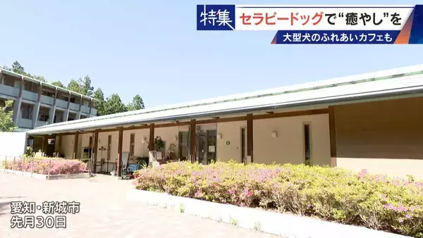 「人を癒やす“セラピードッグ” 医学的にも研究される｢犬の力｣ 訓練所には大型犬のふれあいカフェも」の画像