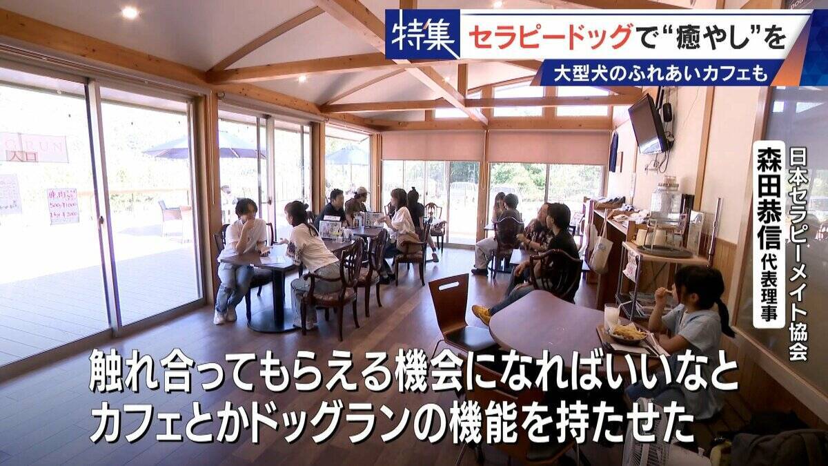 人を癒やす“セラピードッグ” 医学的にも研究される｢犬の力｣ 訓練所には大型犬のふれあいカフェも