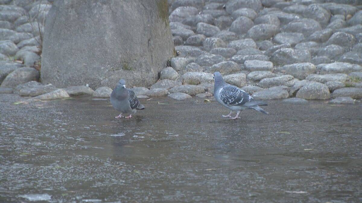 東海3県 あさっては広く｢雪｣｢雨｣予想 きょうの名古屋は氷点下3.6℃ 各地で今季一番の冷え込みに 愛知･岐阜･三重の天気予報（2/9 昼）