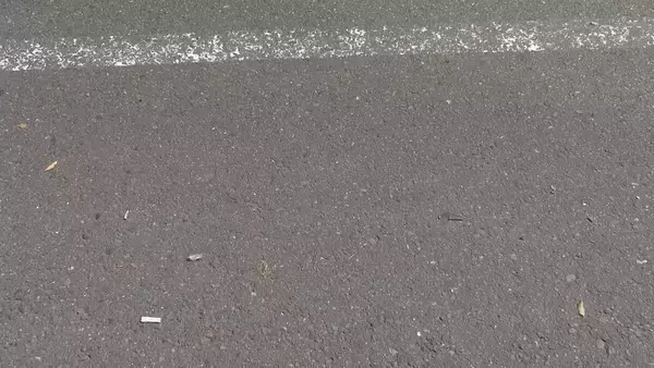 「警察の職務質問に応じず車で逃走、事故を起こした女を酒気帯び運転の現行犯で逮捕　名古屋市中区」の画像