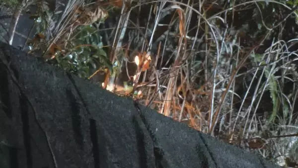 「産業廃棄物を扱う工場で火事 山林にも延焼 約7時間後にほぼ消し止められる 今のところけが人なし ｢山で炎があがっている｣などと消防に通報 愛知･岡崎市」の画像