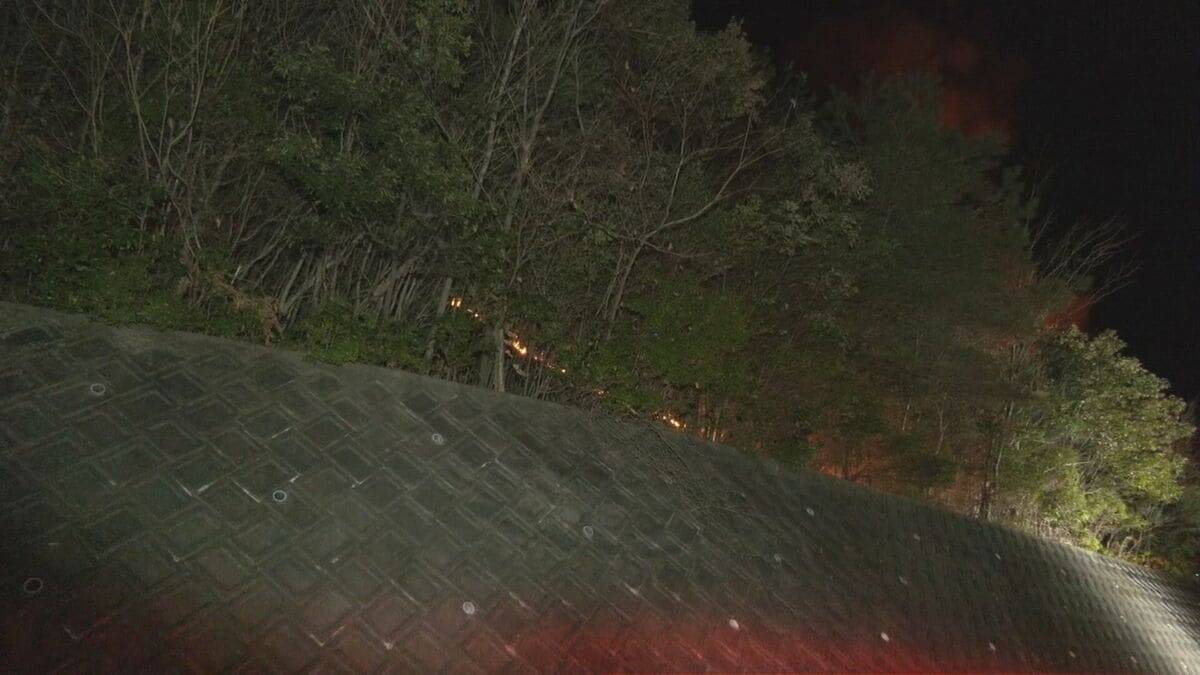 産業廃棄物を扱う工場で火事 山林にも延焼 約7時間後にほぼ消し止められる 今のところけが人なし ｢山で炎があがっている｣などと消防に通報 愛知･岡崎市