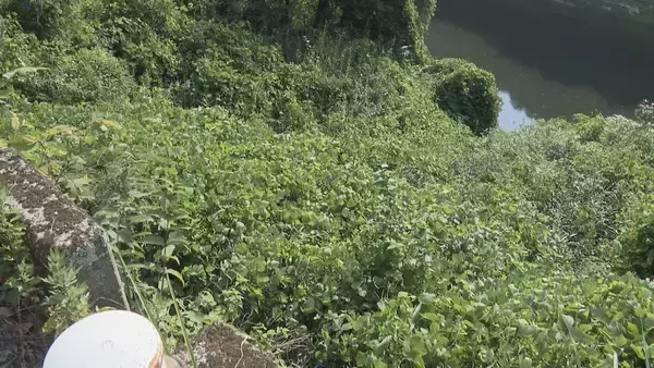 「ビニールシートに包まれた女性2人の遺体 逮捕された交際相手の男の親族「考えられない」遺棄現場周辺の土地勘あったか 遺体は三重･伊賀市の母娘とみられる」の画像