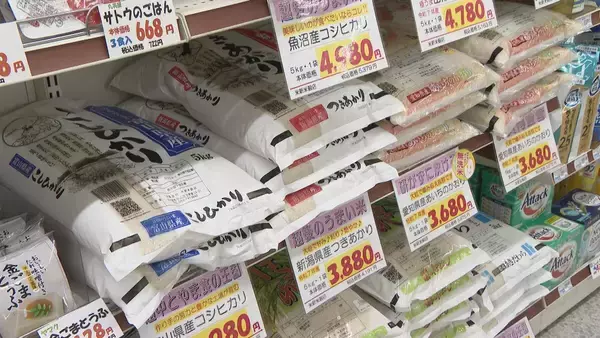 「3000円台のコメも多くなり… 愛知のスーパー「さらに300～400円下がって適正価格」イラン情勢でコメ袋が｢発注停止｣に」の画像