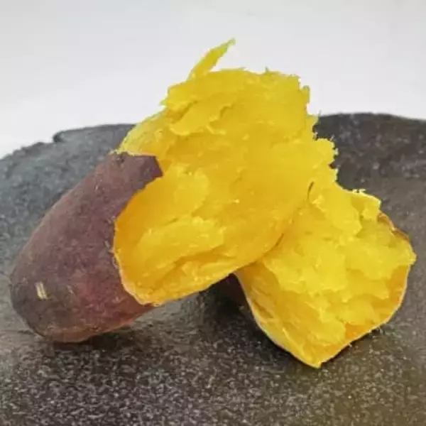 ホクホク食べ比べ！年に一度の「焼き芋頂上決戦」　２月１１日（祝）より幕張で