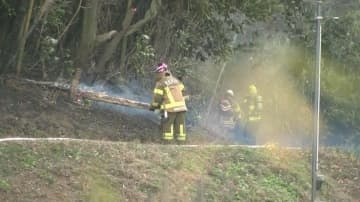 雑木林が燃える火事　強風で延焼　約９００平方メートル焼く　千葉・四街道市