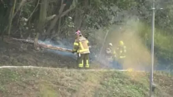 雑木林が燃える火事　強風で延焼　約９００平方メートル焼く　千葉・四街道市