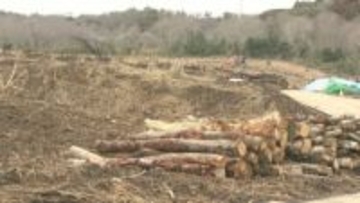 新たな産業の誘致を官民連携で　千葉市中央区に１７ヘクタールの用地整備進む