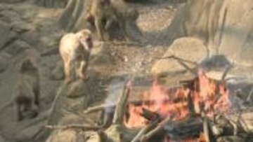 １月２０日は大寒　“サルたちにも暖を”　千葉市動物公園