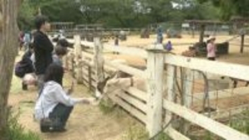 大型連休最終日　親子連れでにぎわう千葉・成田ゆめ牧場　ヤギやヒツジと触れ合い