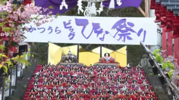 石段を彩る1800体のひな人形　春の訪れ告げる「かつうらビッグひな祭り」開幕