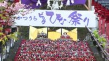 石段を彩る1800体のひな人形　春の訪れ告げる「かつうらビッグひな祭り」開幕