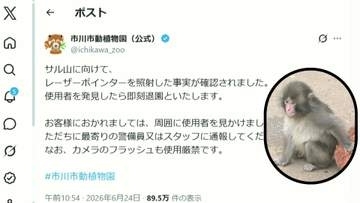 パンチのサル山にレーザー照射か　市川市動植物園　「使用者は即刻退園」
