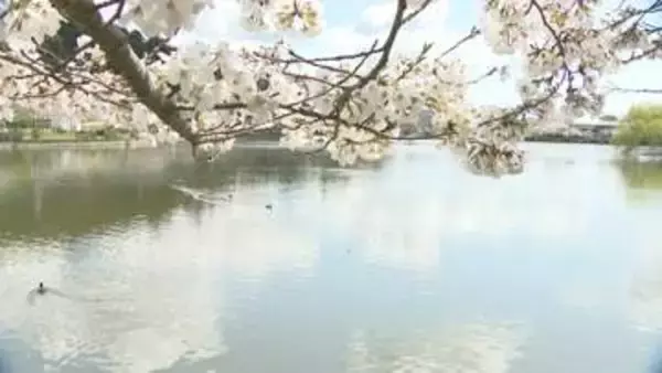 千葉・東金市民がおススメする東金日帰りプラン　～疲労回復ゆったり旅～