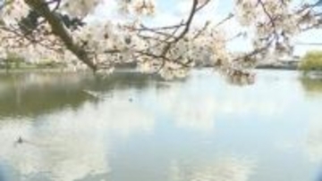 千葉・東金市民がおススメする東金日帰りプラン　～疲労回復ゆったり旅～