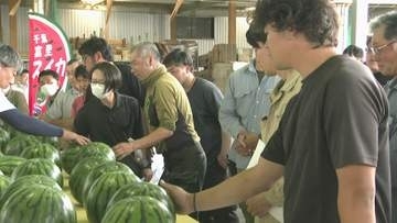 １００年の歴史持つ「富里スイカ」　千葉県富里市で“夏の味覚”出荷本格化