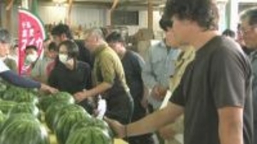 １００年の歴史持つ「富里スイカ」　千葉県富里市で“夏の味覚”出荷本格化