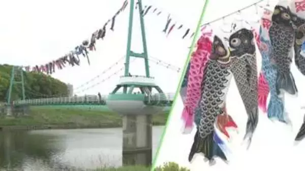 八千代・新川にこいのぼり　約１００匹が大空泳ぐ　「景気うなぎのぼり」も