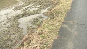 千葉県職員を酒酔い運転の疑いで逮捕　田んぼに突っ込み停車　千葉・茂原市