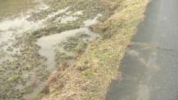 千葉県職員を酒酔い運転の疑いで逮捕　田んぼに突っ込み停車　千葉・茂原市