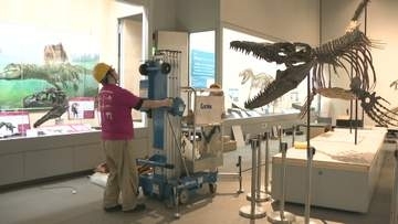 「恐竜博」開幕へ準備大詰め　モササウルスなど１１６標本　千葉県立中央博物館