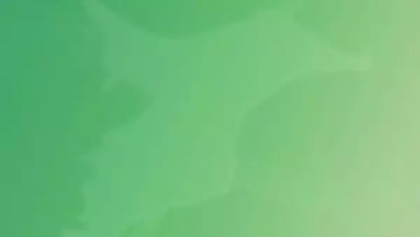 ３０回目を迎えた「ちばぎんカップ」　柏レイソルｖｓジェフ千葉　結果は１点差