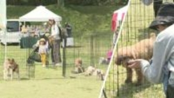 ペットと人が暮らしやすい街を目指して！　わんこフェスタin佐倉