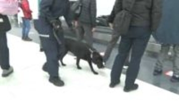 年末の空港利用客増加に向け取り締まり強化　成田税関で「年末特別警戒」始まる