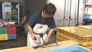 旬の船橋産スズキをＰＲ　価値高める「瞬〆」報道公開　鮮度・見た目・味全て向上