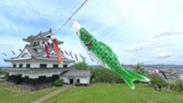 こいのぼり×館山城「コラボ楽しんで」　約１６０匹が大空泳ぐ　館山・城山公園