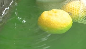 冬至で「ゆず湯」サービス　千葉市中央区の銭湯　爽やかな香り漂う