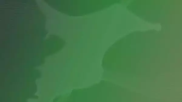 国民民主党・岡野純子議員「気づいて然るべき」　標旗誤使用問題で陳謝