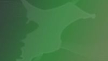 国民民主党・岡野純子議員「気づいて然るべき」　標旗誤使用問題で陳謝