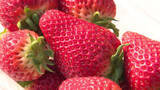 「「柔らかくてジューシー」　幻の「ふさの香」も　千葉・船橋でイチゴが旬を迎える」の画像1
