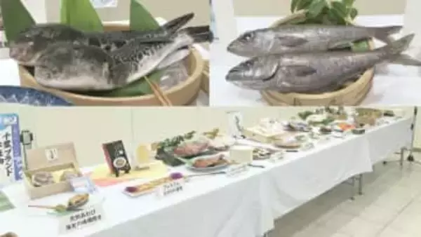 新たに大原産トラフグなど２品目認定　「千葉ブランド水産物」に１２品目に認定証