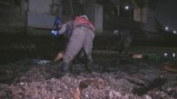 なぜ川にカキが大量発生？　冬の寒い夜に洪水対策　浦安で殻の撤去約５３トン