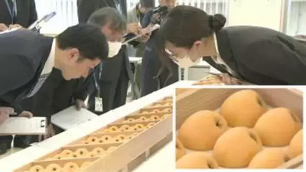 千葉の特産品「房州びわ」が皇室に献上　南房総市